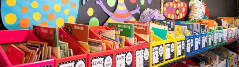 A row of labelled boxes with books