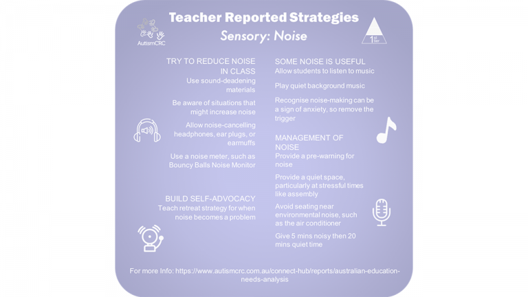 Teacher reported strategies: sensory noise
