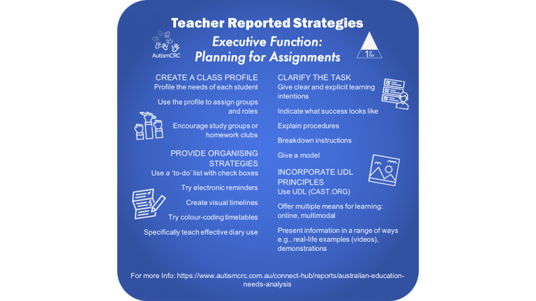 Executive function: planning for assignments